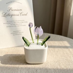 May include: A small white square ceramic pot with a glass flower arrangement. The arrangement includes a light purple tulip, a bud, and green leaves. A letterpress card is in the background.