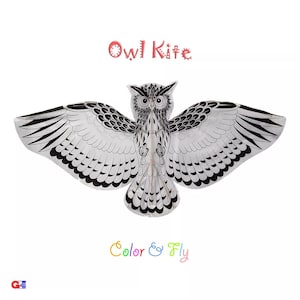 Kid&#39;s Coloring Kites - Pack of 12 Owl Kites With Fly Kits - Handmade Bamboo Framed