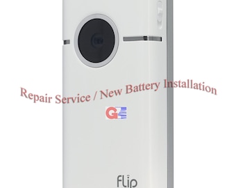 Flip Video DateiWiederherstellungsdienst - S1240, M2120, M3160, M31120, MinoHD Pro 1, F460