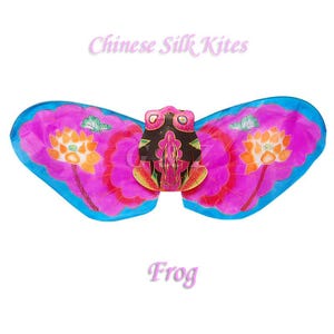 Kleiner Frosch mit Geschenkbox - Chinesischer Handgemachter Drachen mit 92cm Spannweite