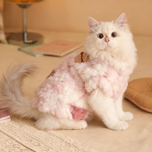 May include: A fluffy white cat wearing a pink and white patterned pet sweater with a small brown accessory. The cat is sitting on a cream-colored surface, with a soft, neutral background.