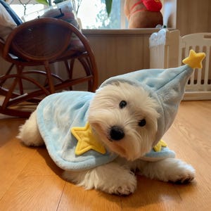 Könnte beinhalten: Ein weißer Hund trägt ein hellblaues Kostüm mit gelben Sternakzenten. Das Kostüm umfasst einen Kapuzenmantel und sternförmige Verzierungen. Der Hund liegt auf einem Holzboden.