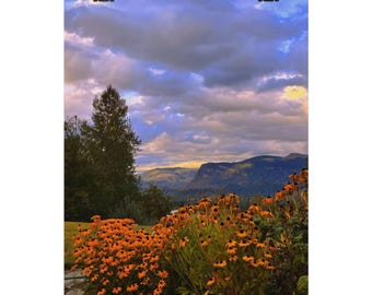 Mountain Valley Sunset Floral Poster Photography Poster Print | Matte Poster
