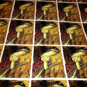 Josephine Bonaprte/Empress Josephine Wrapping Paper