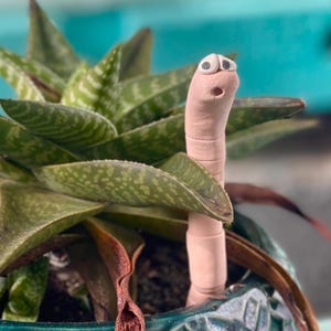 Thirsty Worm moisture monitor for your potted plant