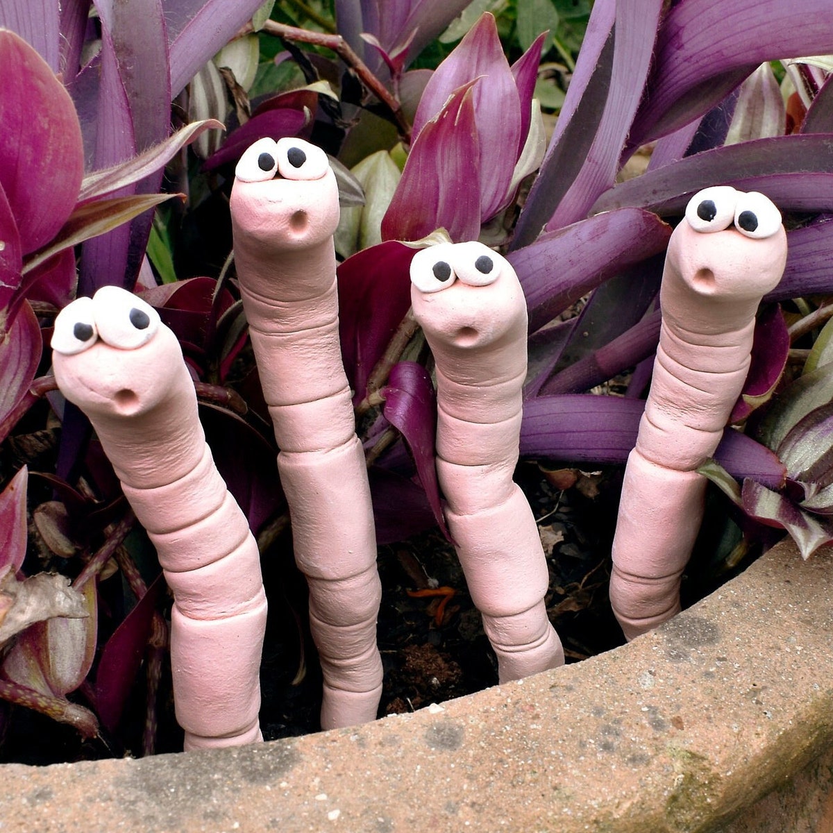 Thirsty Worm Moisture Monitor