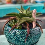 Garden Decor