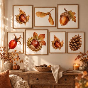 Könnte beinhalten: Ein Set aus sieben gerahmten Wandbildern mit botanischen Illustrationen herbstlicher Elemente, darunter eine Haselnuss, ein Ahornsamen, eine Eichel, eine Hagebutte, eine Kastanie, eine weitere Haselnuss und ein Kiefernzapfen auf weißem Grund.