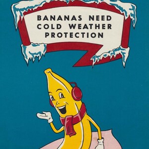 Warm Banana