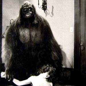 Un gorilla e la sua ragazza, un biglietto bianco