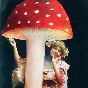 Mushroom Girl, un biglietto per appunti da 4,25 x 5,5 pollici