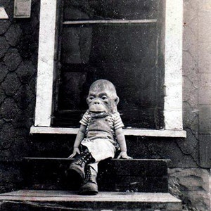 Monster at the Door, a 4 X 4.5&quot; Greeting Card