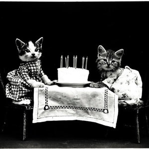 Chatons d'anniversaire, une carte de voeux de 4 x 4,5 pouces