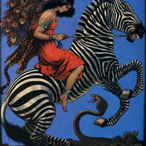 Vrouw op een Zebra