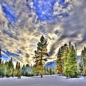 Winter Sunset