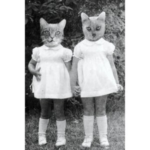 The Cat Sisters, une carte de vœux 4 X 4,5 »