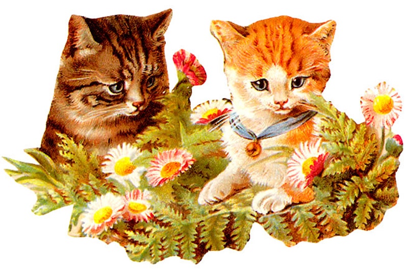 May include: Vintage illustration of two kittens amidst flowers. One kitten is brown and the other is orange and white, wearing a blue ribbon with a gold pendant. The flowers are daisies with red and yellow centers.