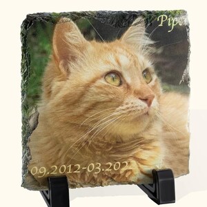 May include: A memorial stone with a ginger cat portrait, named "Piper". The stone has a natural, rough edge and is supported by a black stand. The dates "09.2012-03.2022" are inscribed on the stone, a touching tribute.