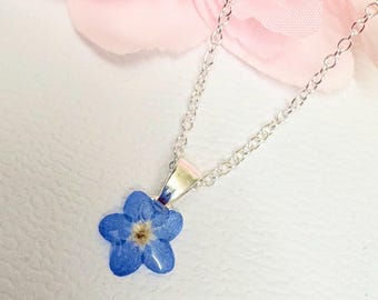 Real Forget-Me-Not Resin Necklace | Sterling Silver Floral Pendant