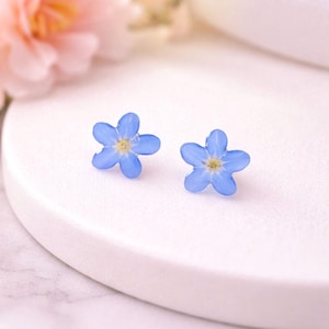 Real Forget-Me-Not Flower Sterling Silver Stud Earrings - Botanical Resin Jewelry