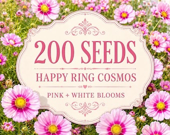 200 Happy Ring Cosmos Seeds – Pink White Ringed Flowers – Easy Grow Annual Cottage Garden Flower Seeds for Planting