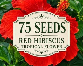 75 Red Hibiscus Seeds | Tropical Hibiscus rosa-sinensis | Perennial Flower | Garden Patio Container Plant