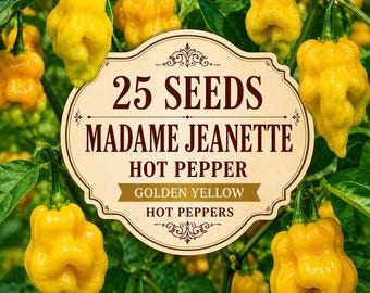 25 Madame Jeanette Hot Pepper Seeds – Heirloom Hot Chili – Capsicum Chinense Vegetable Garden Planting