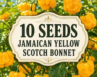 10 Jamaican Yellow Scotch Bonnet Pepper Seeds | Capsicum chinense | Fresh Untreated Heirloom Hot Seeds for Garden