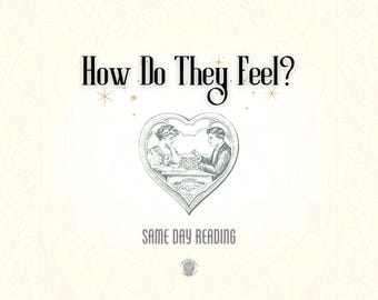 Same Day How Do They Feel Tarot Reading, In Depth Detailed Psychic Reading