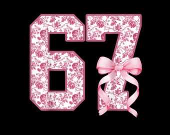 Funny Six Seven Coquette Bow Png, 67 Viral Internet Joke Digital Design, Preppy Girly Floral Shirt Design, Trending Social Media Humor Png