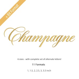 Fuente de bordado manuscrita Champagne, letras caligráficas - Elegante, fuente de bordado cursiva, 6 tamaños, 11 formatos + fuente BX