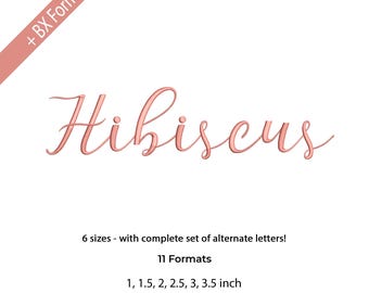 Hibiscus Embroidery Font Alphabet, Handwritten Font, 6 sizes, instant download BX Font | PES + 9 other formats for Embroidery Machines