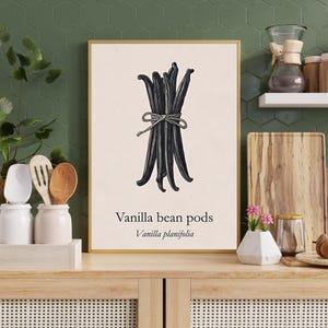 Puede incluir: Una impresión enmarcada con un manojo de vainas de vainilla oscuras atadas con hilo. El texto "Vanilla bean pods" y "Vanilla planifolia" está impreso debajo de la ilustración. La impresión se muestra sobre una superficie de madera.