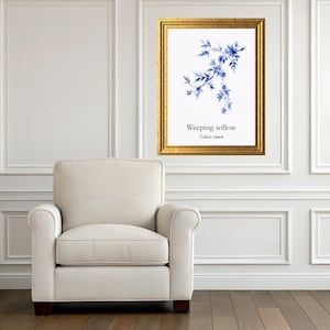 May include: A framed print featuring a blue watercolor illustration of a weeping willow branch. The artwork is displayed in a gold frame and hangs on a white wall. The text "Weeping willow, Salicis rimen" is below the illustration. A cream-colored armchair sits below the artwork.