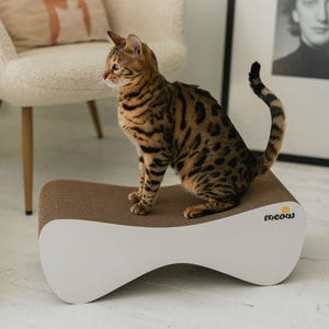 Puede incluir: Rascador para gatos con forma de hueso, con superficie marrón y base blanca. Un gato atigrado marrón y negro está sentado encima. El rascador tiene la palabra "meow".