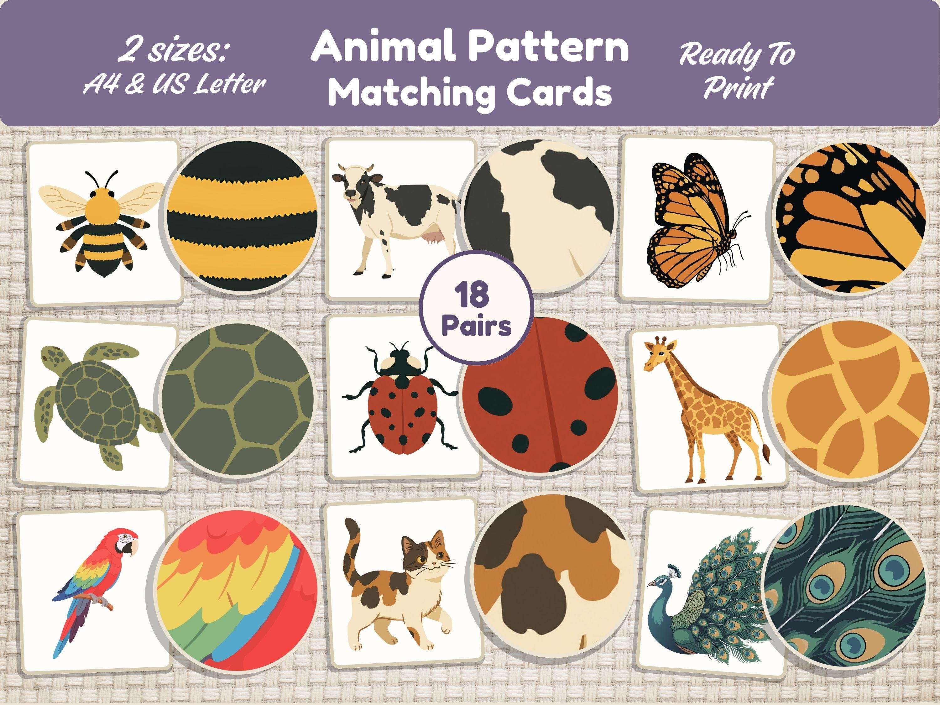 Animal Pattern Matching Game Printable PDF Match Animal Prints Activity ...