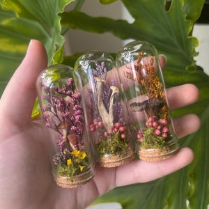 Real Preserved Mini Floral Mushroom Domes