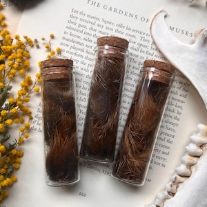 May include: Three clear glass cylindrical vials, each sealed with a natural cork stopper, containing a dense collection of coarse, dark brown animal fur. The vials are arranged vertically, showcasing the texture and color of the hair inside.