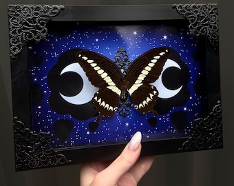 Luna Inspired Papilio Gigon Butterfly Gothic Shadowbox Frame