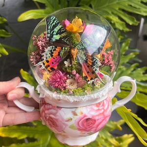 May include: A decorative glass globe with a colourful butterfly and dried flowers, placed on a pink floral teacup. The butterfly has green, orange, and pink wings. The teacup has a white lace trim.