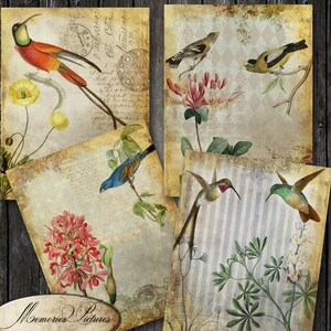Alter Hintergrund, Kolibri Vintage botanische antike Blüte / Digital Collage Sheet, Collage Antique Papiere