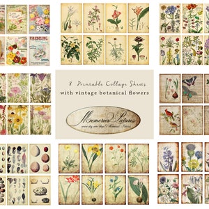 Lot de papiers numériques, énorme paquet de 64 étiquettes, fleur vintage, plantes florales printanières, roses, étiquettes cadeaux, 8 feuilles numériques imprimables