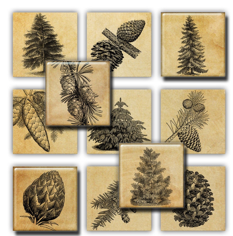 Christmas vintage, christmas tree, pines, 2x2 inch size Images Printable Download for magnets pendants gift tags scrapbook 23 image 1
