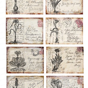 May include: A collage of eight vintage postcards with botanical illustrations. Each card features a different black and white drawing of a flower or plant, with handwritten script and postage stamps. The cards have a distressed, aged appearance.