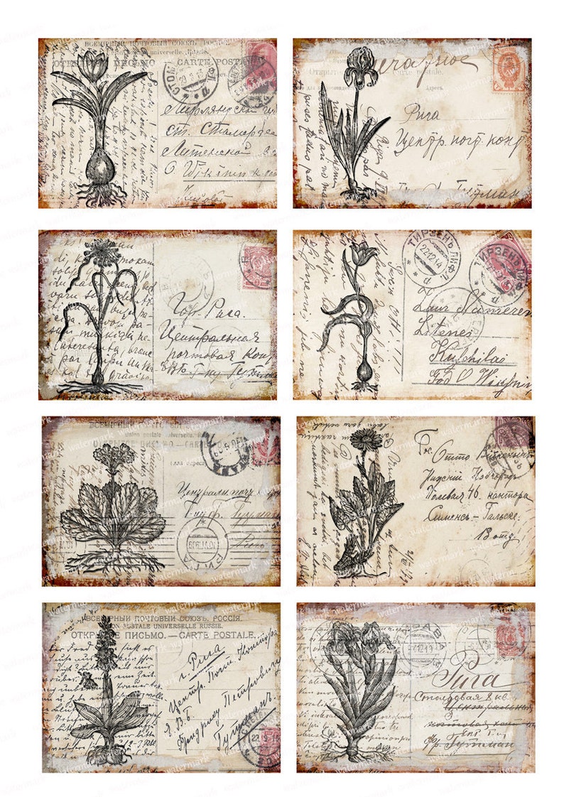 May include: A collage of eight vintage postcards with botanical illustrations. Each card features a different black and white drawing of a flower or plant, with handwritten script and postage stamps. The cards have a distressed, aged appearance.