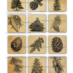 Christmas vintage, christmas tree, pines, 2x2 inch size Images Printable Download for magnets pendants gift tags scrapbook 23 image 2