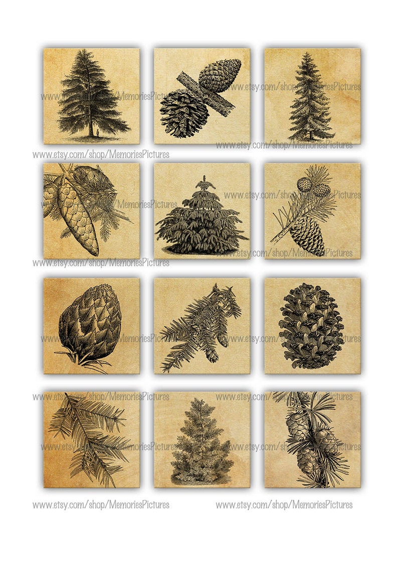 Christmas vintage, christmas tree, pines, 2x2 inch size Images Printable Download for magnets pendants gift tags scrapbook 23 image 2