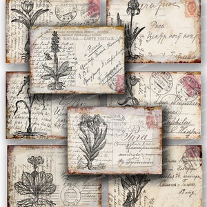 Postales de flores vintage, plantas botánicas, cartas escritas a mano, etiquetas de regalo, tarjetas ACEO, hojas de collage digital imprimibles para descargar (3)