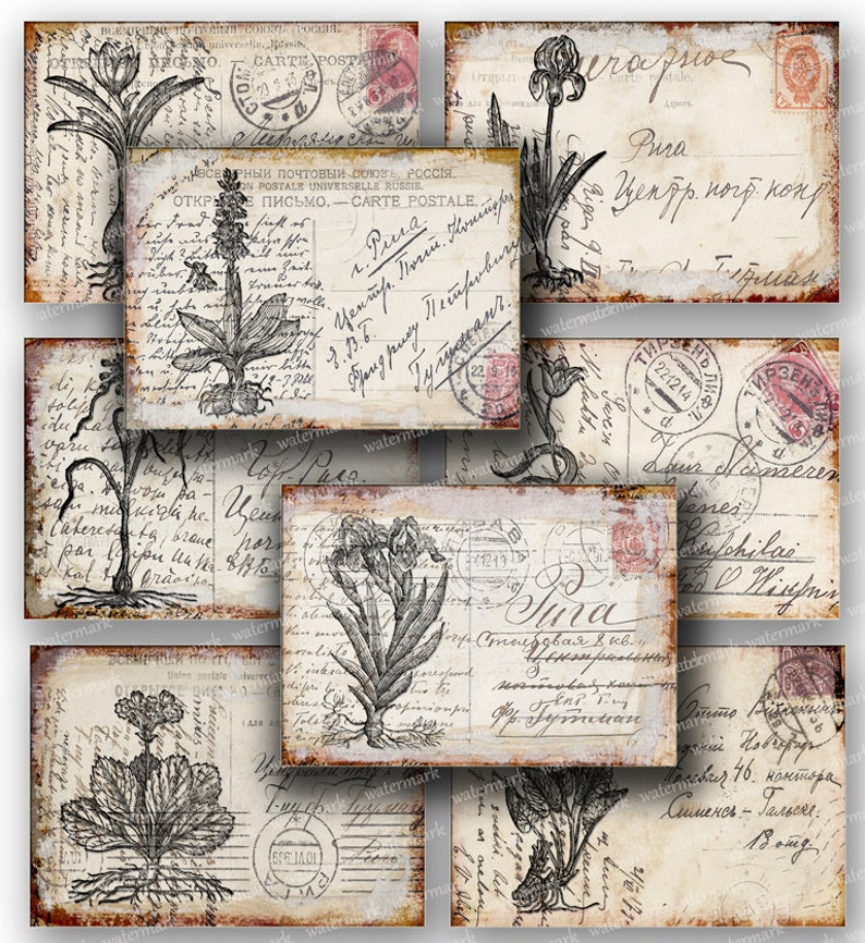 May include: A collection of vintage postcards with botanical illustrations in black and white. The postcards feature drawings of flowers and plants, with aged paper and handwritten text, and postage stamps.