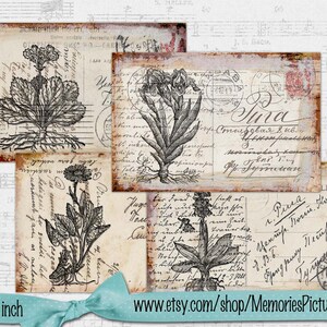 Postales botánicas vintage con flores, letras escritas a mano, texto // Álbum de recortes de 6 x 4 pulgadas, Hojas de collage digital para descargar